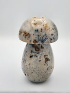 Ocean Jasper Mushie