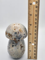 Ocean Jasper Mushie