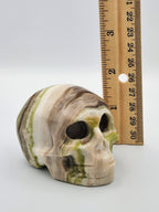 Jasper Skull